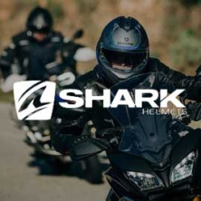 Shark