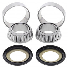 [ALL BALLS] Комплект подшипников рулевой колонки 22-1021