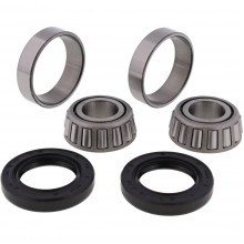 [ALL BALLS] Комплект подшипников для колеса 25-1001