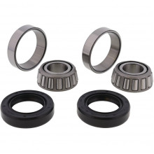 [ALL BALLS] Комплект подшипников для колеса 25-1002