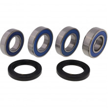 [ALL BALLS] Комплект подшипников для колеса 25-1492