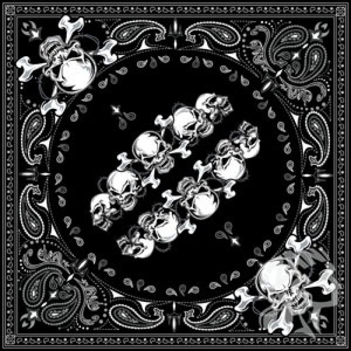 Бандана ZAN Skull Row