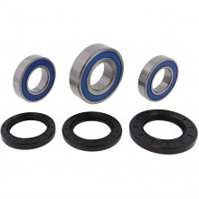 [ALL BALLS] Комплект подшипников для колеса 25-1392