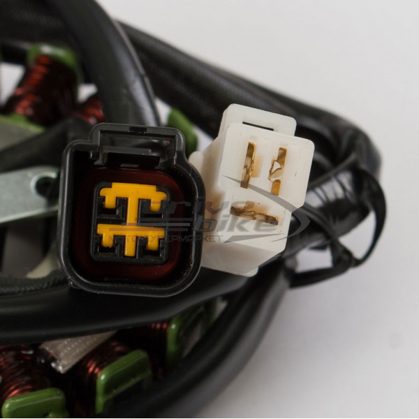 Статор генератора Suzuki DR-Z400 00-11 ESG180