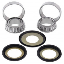 [ALL BALLS] Комплект подшипников рулевой колонки 22-1001