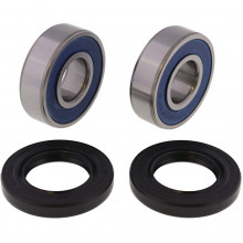 [ALL BALLS] Комплект подшипников для колеса 25-1379