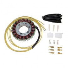 [ELECTROSPORT INDUSTRIES] Статор генератора Suzuki VZ400/800 Desperado Kawasaki ZX-6R ESG730