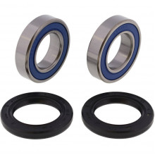 [ALL BALLS] Комплект подшипников для колеса 25-1079