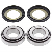 [ALL BALLS] Комплект подшипников рулевой колонки 22-1032