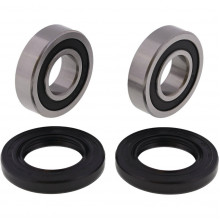 [ALL BALLS] Комплект подшипников для колеса 25-1653