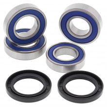 [ALL BALLS] Комплект подшипников для колеса 25-1563