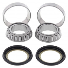 [ALL BALLS] Комплект подшипников рулевой колонки 22-1002